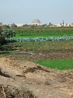 Site de el-Lahoun