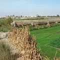 Sitio de el-Lahun
