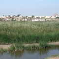 Canal d'irrigation