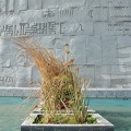 Alphabets of the world. Bibliotheca Alexandrina  