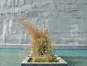 Alphabets of the world. Bibliotheca Alexandrina  