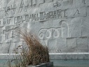 Les alphabets du monde. Bibliotheca Alexandrina