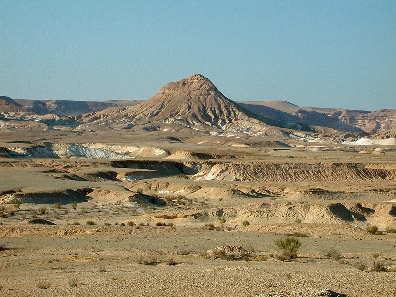 Sinai Desert 