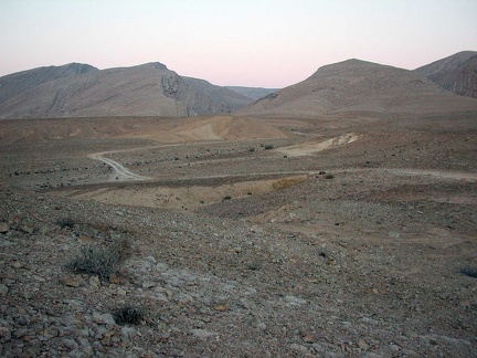 Sinai Desert 