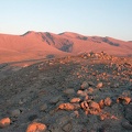 Sinai Desert 