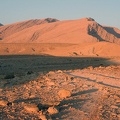 Sinai Desert 