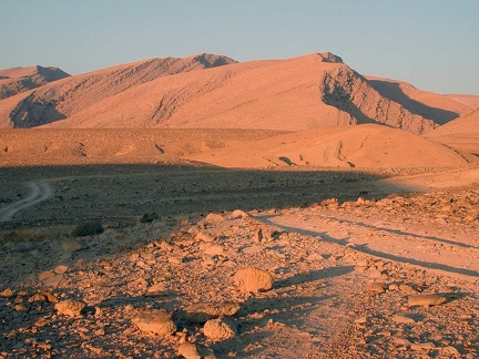 Sinai Desert 