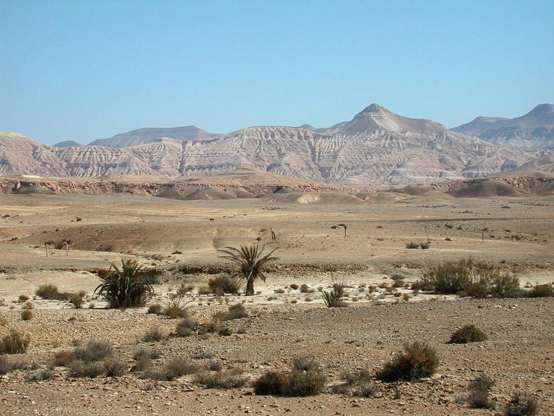  Désert du Sinaï