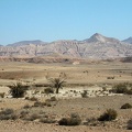 Sinai Desert 