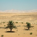  Désert du Sinaï