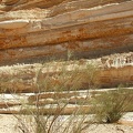 Desierto del Sinaí