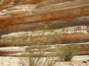 Desierto del Sinaí