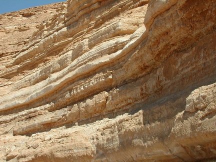 Sinai Desert 