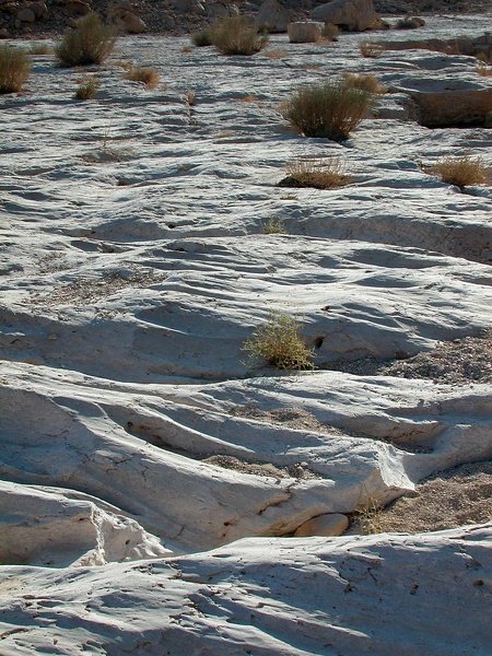 Sinai Desert 