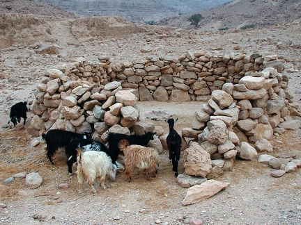 Desierto del Sinaí