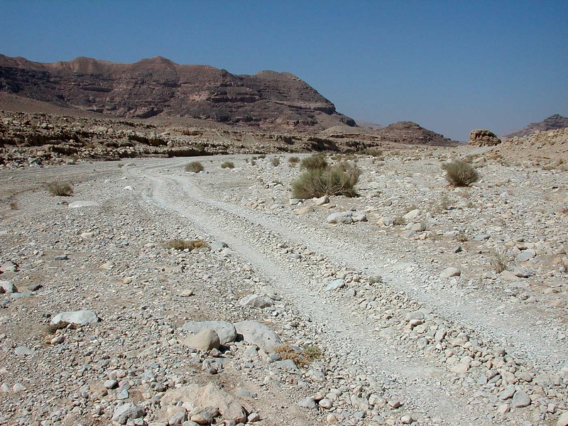 Sinai Desert 