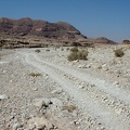 Sinai Desert 