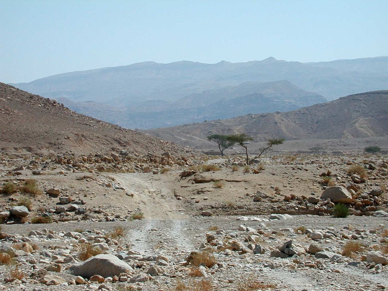 Sinai Desert 