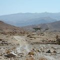 Sinai Desert 