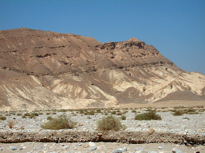 Sinai Desert 