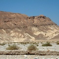 Sinai Desert 