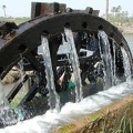  noria (waterwheel) 