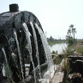  noria (waterwheel) 