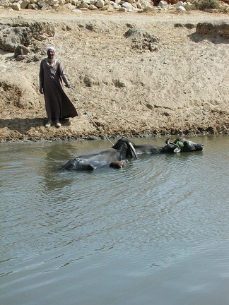 Canal d'irrigation