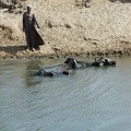 Canal d'irrigation