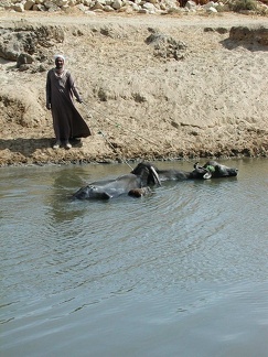 Canal d'irrigation