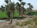 Canal d'irrigation