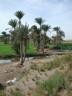 Canal d'irrigation