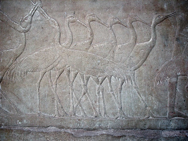 The mastaba of Mereruka at Saqqara  