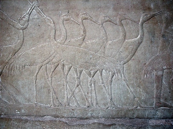 Le mastaba de Mérérouka  à Saqqarah 