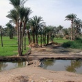 Canal d'irrigation