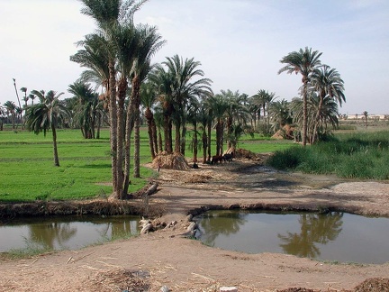 Irrigation canal 