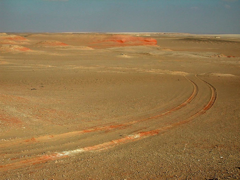 The desert, near Kasr el Sagha 