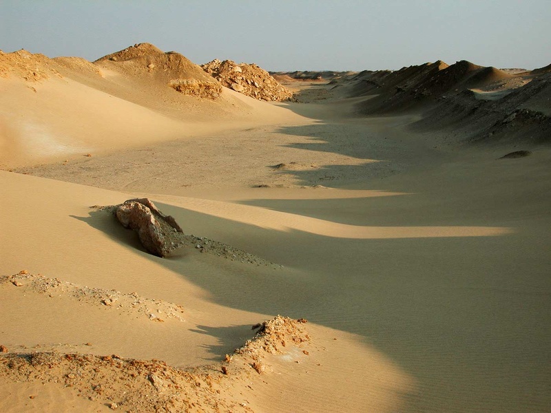 The desert, near Kasr el Sagha 