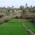 Oasis du Fayoum