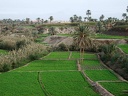 Oasis du Fayoum