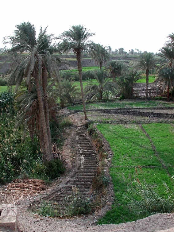 Fayoum Oasis 