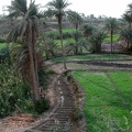 Fayoum Oasis 