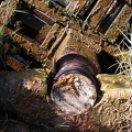  noria (waterwheel) 