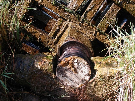  noria (waterwheel) 