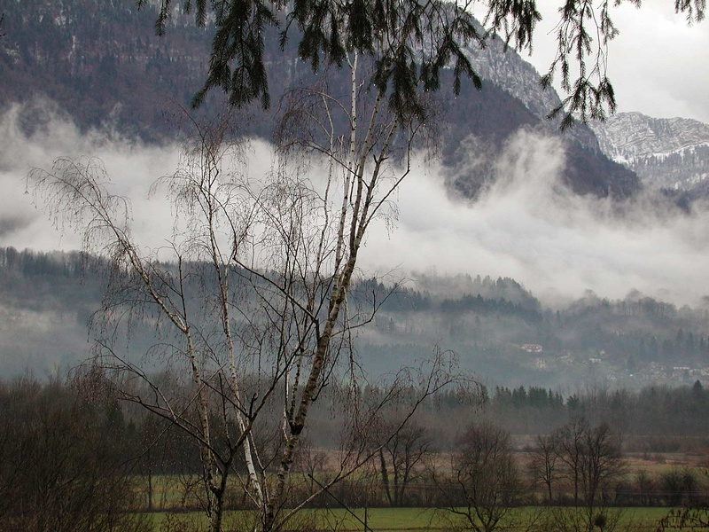 Niebla de la mañana 