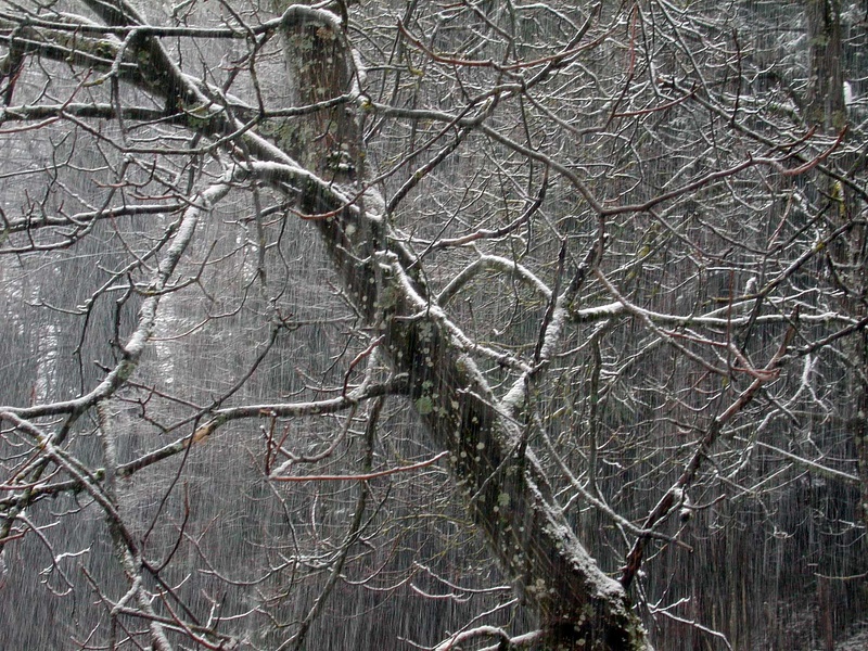 200401N3411.jpg