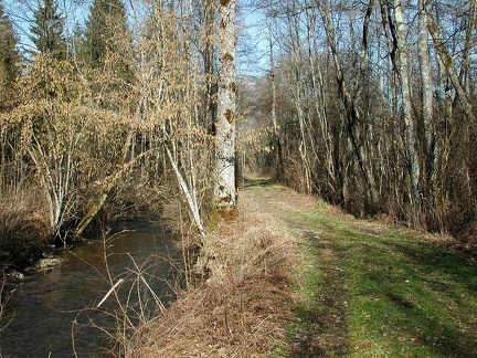 Chemin le long du Guiers mort. Saint-Laurent du Pont (Isère)