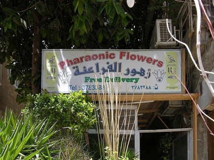 Sign of a flower shop in Maadi 
