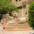 Jardín del Museo de la Agricultura. El Cairo