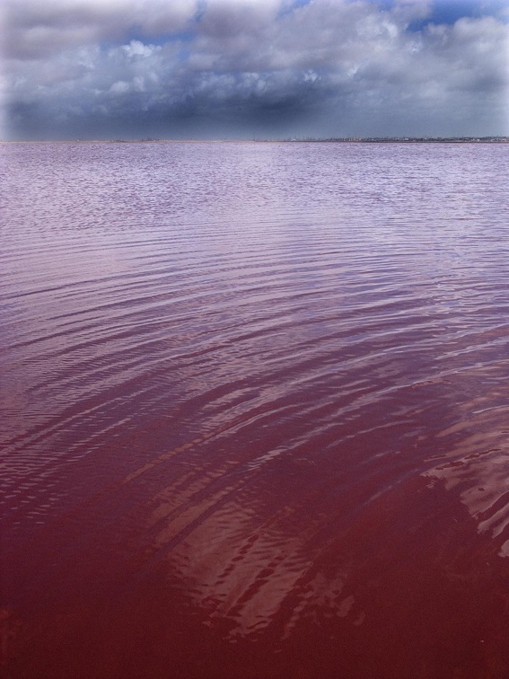 Lago Mariout. Alejandría 